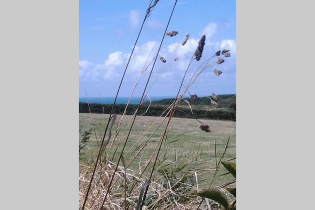 The Dairy @ Mill Haven Place Holiday home Haverfordwest